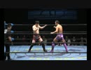 2014/2/16　【スペシャルシングルマッチ】　土方隆司　VS　佐藤光留