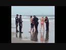ZZ PRODUCTION - SEX ON THE BEACH Remix