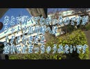 シャドウ浜川崎へ行く動画