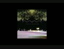 Mark McGuire - Noctilucence