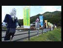 [H26,10]国道162号線part4[バイク車載]