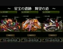 星宝の遺跡　輝望の道　３キャラ比較【パズドラ】