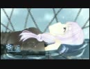 【結月ゆかり】 雪兎 【オリジナルMV】