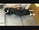開かない…だと？