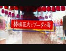 林檎花火とソーダの海を歌ってみました【尨】