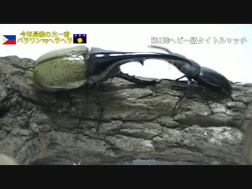 KRIDE　虫祭り2014