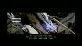 【ACfA】おばさんリンクスに、答えは見つけられるのか。part11