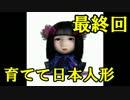 【実況】日本人形をそだててみたら... 最終回 【育てて日本人形】