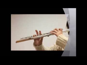 【演奏してみた】禁断のレジスタンス【フルート】