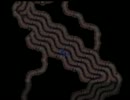 ルナゲーム5をする野獣軍団