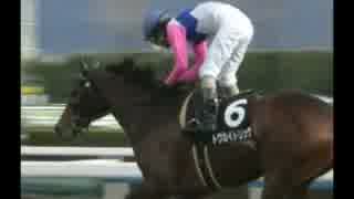 【競馬】　２０１４年　亡くなった名馬たち