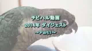 ウロコインコ【チビハル動画 2014年ダイジェスト Part1】