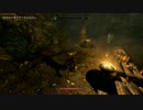【Skyrim】スカイリムの地に一匹の猫が降り立った(11)【ゲーム実況】