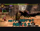 【3BH】バカで変態な３人組みが狩に出てみたG【鮫と虫編】