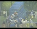 1981年第83回天皇賞・春 　カツラノハイセイコ