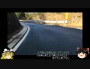 ゆっくりサイクリング 裏ヤビツダウンヒル その１
