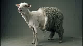 【GBO】Re:社畜の戦場70@PG【字幕実況】