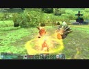 【PSO2】 エレバと二段ジャンプでVHナベリウスⅡTA 6:10