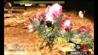 【MH4G】星石の結晶集め