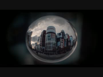 飛んで行きたい／shirayuki