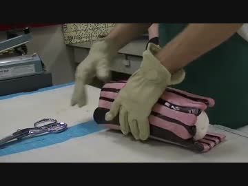 プロの手作りキャンディケイン