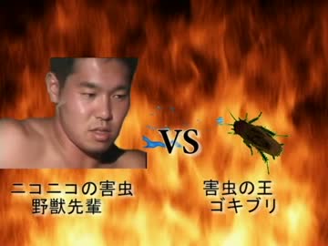 野獣先輩 Vs ゴキブリ ニコニコ動画