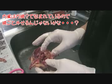 ヒヨドリの解体と精肉（小鳥狙い出猟）　新米猟師ハンターライフ