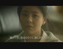 パパの自撮り(CanonKorea CM)日本語字幕版