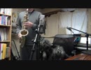 アルトサックスで「うそつき」(初音ミク)を吹いてみた