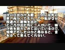 【ゆっくり怪談】甥と姪が泊まりに来た【怖い話】