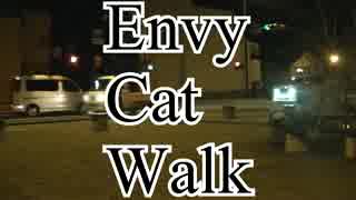 【楓ノ介】 エンヴィキャットウォーク 【踊ってみた】