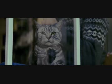 YKK ap 企業広告「似たものどうし」篇 90秒