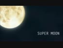 藤田麻衣子さんの「SUPERMOON」歌ってみた【弾き語り】