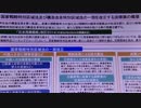 国家戦略特区法の内容（資料編）【拡散・作業用動画】沢村直樹