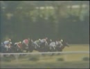 1980年第41回菊花賞　ノースガスト