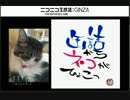 うふふな放送特別版!!コラボ放送缶詰からネコがひょこっ39缶動画