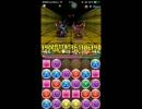 【パズドラ】高速プラマラ　光孔明　ノーシステム！