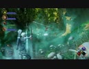 [PS4]ドラゴンエイジ実況動画[Part21-2]