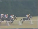 1982年第43回菊花賞　ホリスキー