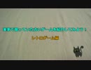 【実家ゲー#11】 実家で眠ってたレトロゲームを紹介してみよう！