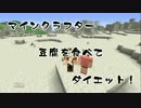 【Minecraft】マインクラフター豆腐ダイエット企画【実況】Part9