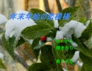 恋する強がりな高3JKを27歳男が実況プレイ【年末年始の恋模様】part1