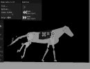 Phunで馬を描いてみたが苦戦中