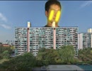 ファッションホモ野郎にお仕置きする先輩.rar