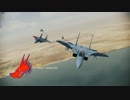 ≪EASに≫ACE COMBAT INFINITY≪ガルム隊でGO!≫