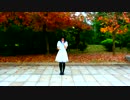 【ぷんちゃん】Melody Lineを踊ってみた【お誕生日おめでとう】