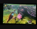 【ＭＨ４Ｇ】ギルクエ１４０極限イビルジョー双剣×操虫棍5'59"36