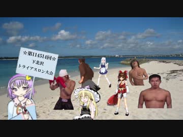 釣りキチおばさんBBとか＋使用例.toraiasuron