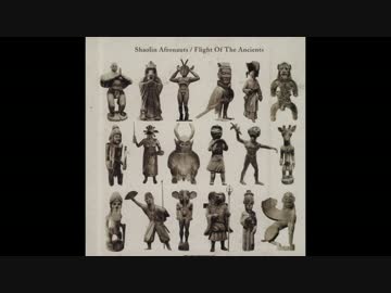 The Shaolin Afronauts - Flight of the Ancients