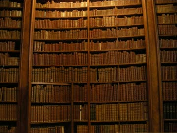 【トラック提供】綿のつもり⑥【ニコラップ】